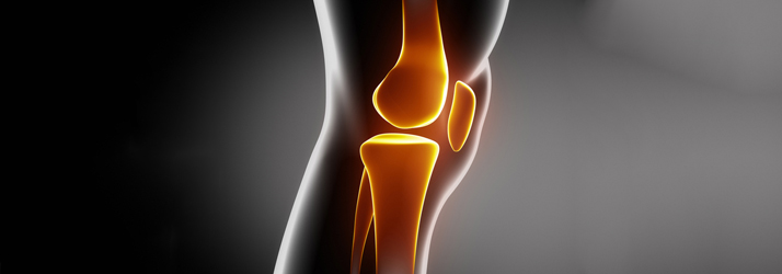 Chiropractic McKinney TX Knee Joint Illustration